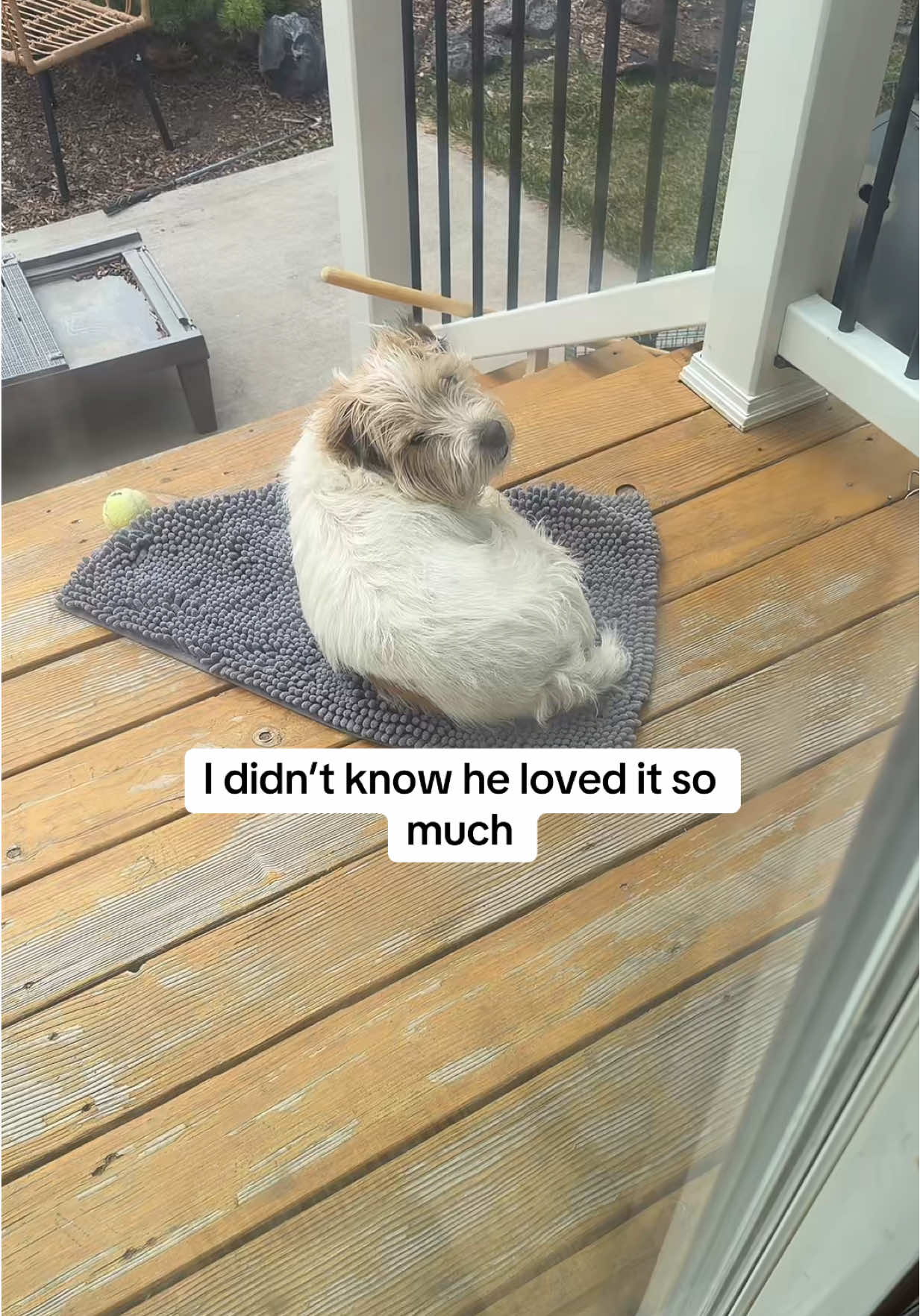 TikTok post by @helpmomreviews for Muddy Mat. Caption reads: @Muddy Mat these doggy door mats are so nice to....