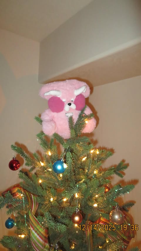 Instagram post by @madzo.xo for All About Vibe. Caption reads: [...] and I’ll send you the link to @allaboutvibe....