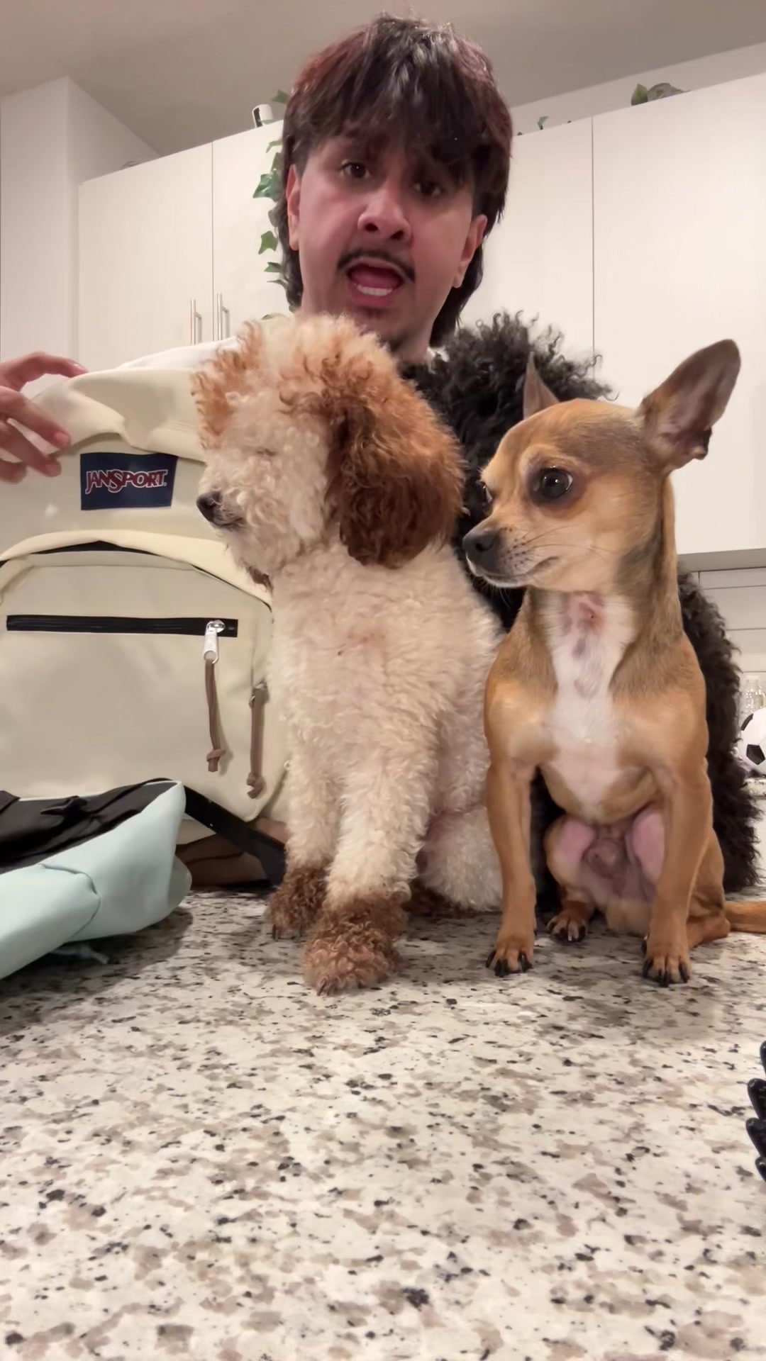 TikTok post by @kodasteven for JanSport. Caption reads: I’m taking the dogs to their grandparents with....