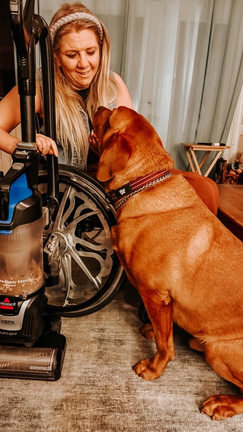 Instagram post by @rachelles_wheels for BISSELL. Caption reads: #ad Between one busy kid, two energetic dogs, and....