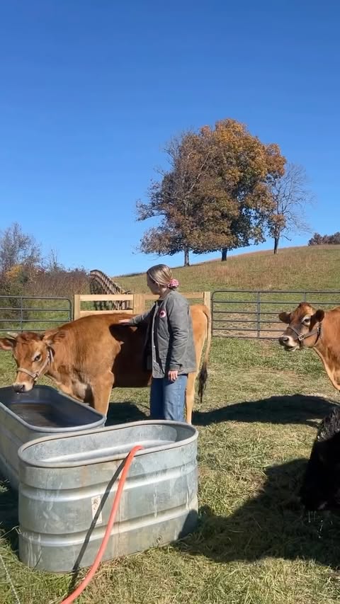 Instagram post by @rohinielyse for Life Extension. Caption reads: [...] women's health probiotic from Life....