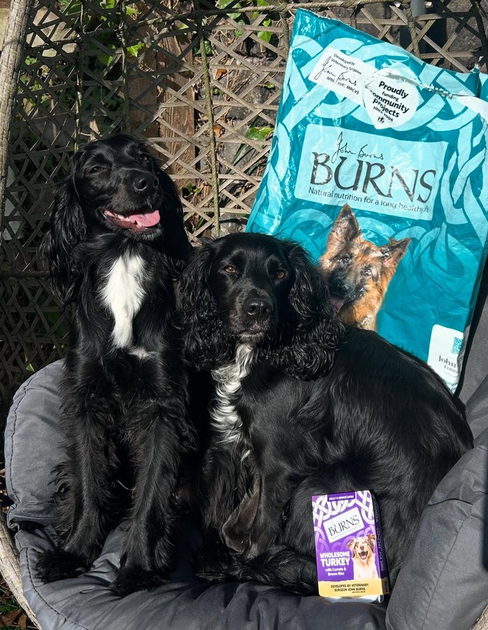 Instagram post by @ada_daisy_sprockers for Burns Pet Food. Caption reads: [...] for them to digest… (iykyk 💩🤣) Burns Pet....