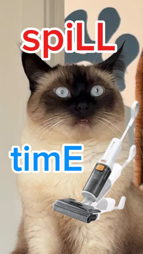 Instagram post by @mervthepet for Roborock. Caption reads: [...] SPiLL STUFF ALL OVER HOUSE TO SEE WAT....