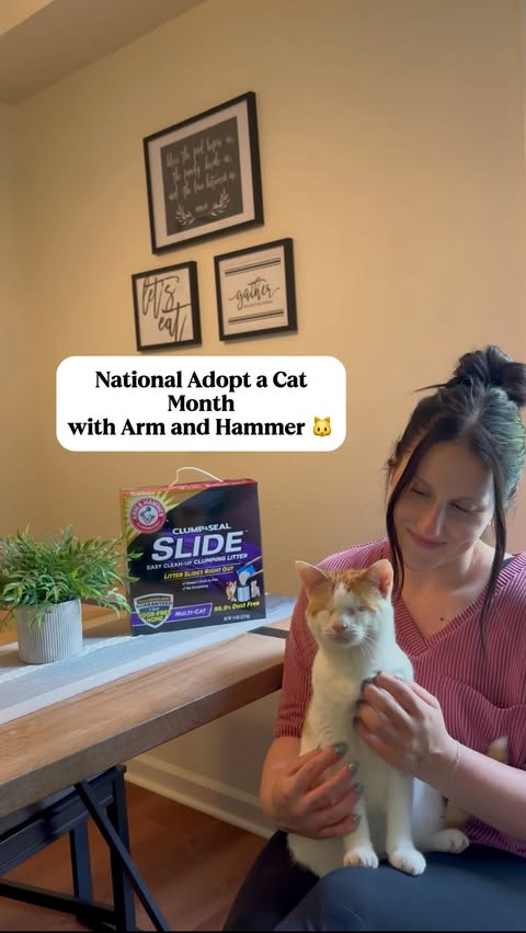 Instagram post by @tinytillytails for Arm & Hammer. Caption reads: [...] your sign to rescue a cat & check out Arm &....