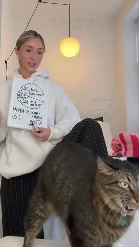 Instagram post by @sophieogle for Purina. Caption reads: It’s about time Merlot starts earning his keep! 🐈....