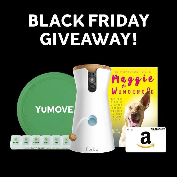 Instagram post by @maggiethewunderdog for YuMOVE. Caption reads: BLACK FRIDAY GIVEAWAY! 🎁🌟​

Here’s your chance....