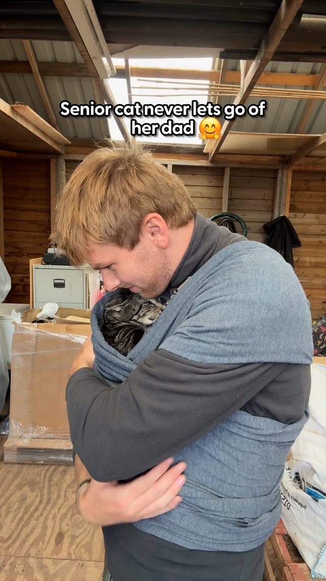 Instagram post by @harryandlippy for The Dodo. Caption reads: She drools all over him to let him know she's....