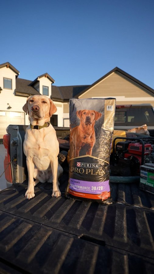 Instagram post by @fishing_with_flair for PURINA PRO PLAN. Caption reads: Lucy is always ready for action, on hunts and in....