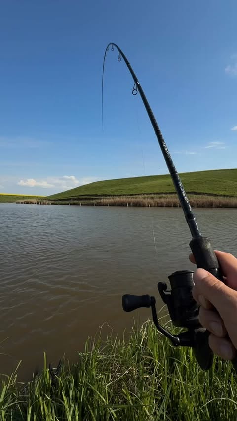 Instagram post by @shimano_aero for Shimano. Caption reads: [...] 🎣🔥 ———————————————————— #FishShimano,....