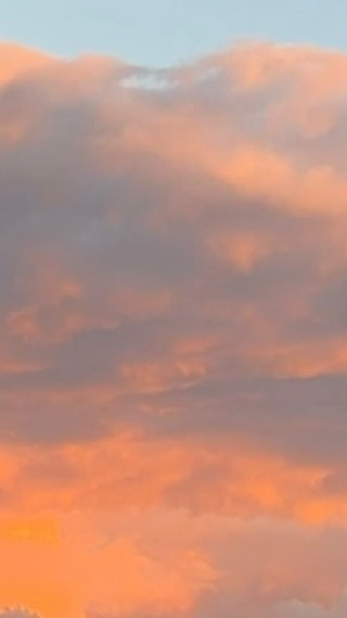 Instagram post by @rileyannebean for Else Nutrition. Caption reads: [...] into your kids day?? Have you tried....