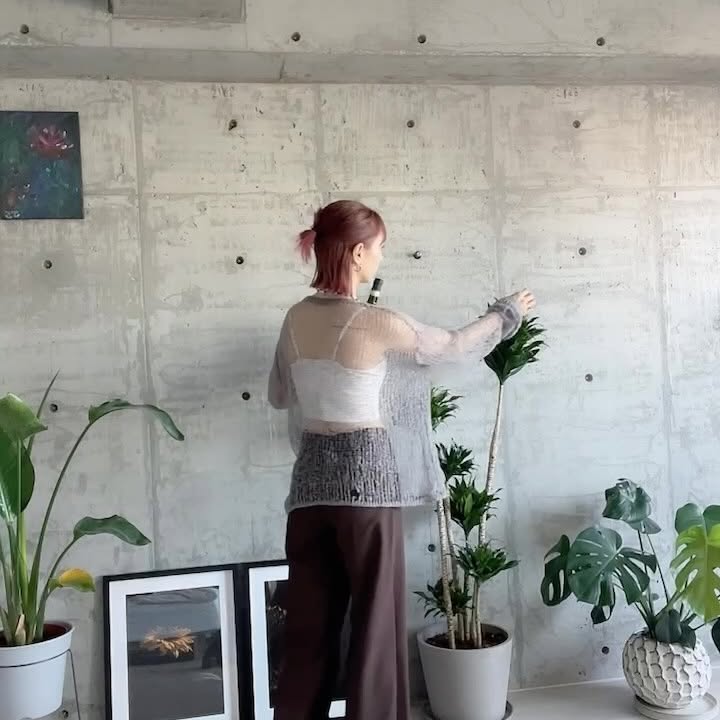 Instagram post by @sachasuriane for ANDPLANTS. Caption reads: 🍃@andplants.jp....