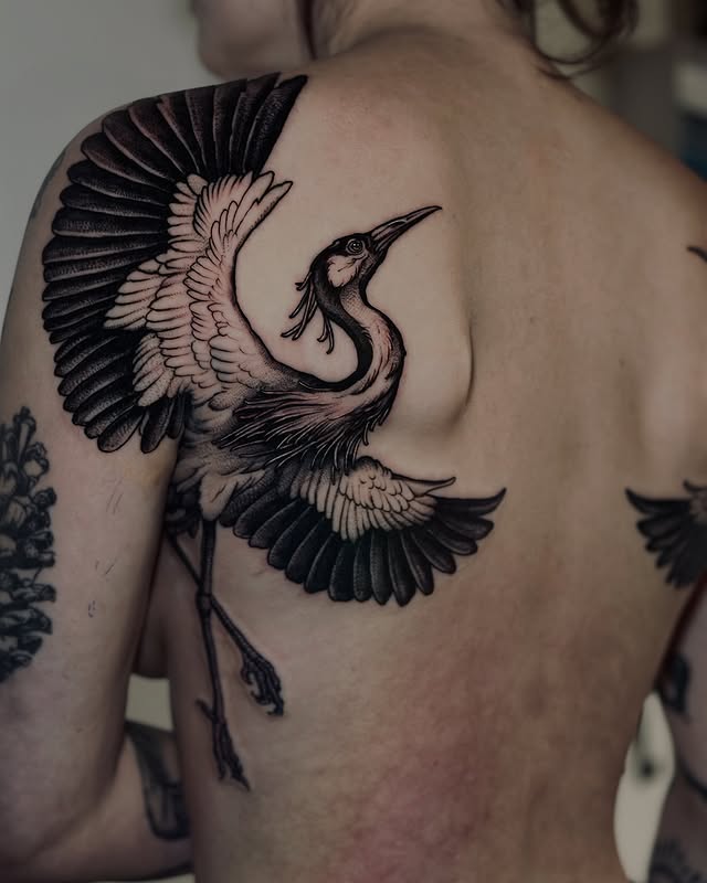 Instagram post by @spence.tattoos for Killer Ink Limited. Caption reads: double arm pit herons
thanks for sitting through....