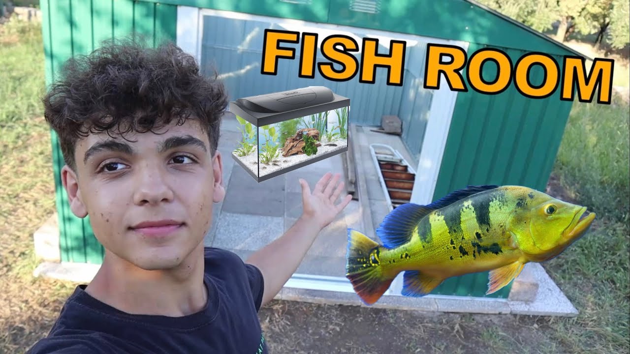 YouTube post by @tartamilloyt for Hygger Aquarium. Caption reads: I BUILT my FISH ROOM!!!.