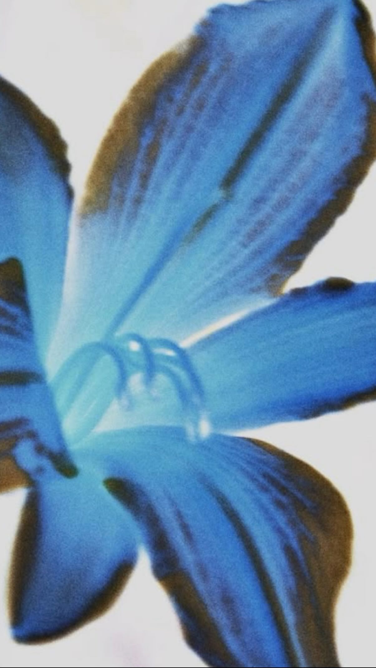 Instagram post by @lucidleslie for Jaded LDN. Caption reads: [...] 
top @asos 
pants @bershka 
lucky belt....