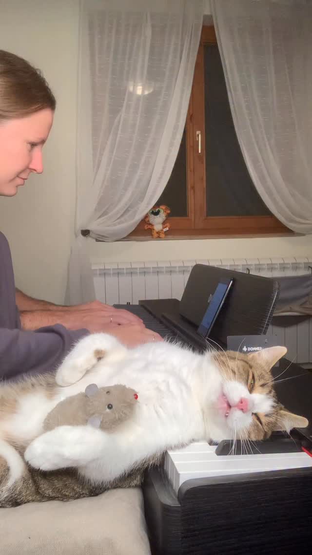 Instagram post by @pianists_mariana.dimcho for DonnerMusic. Caption reads: French mood on DONNER OURA™ S-100 Piano
(Music -....