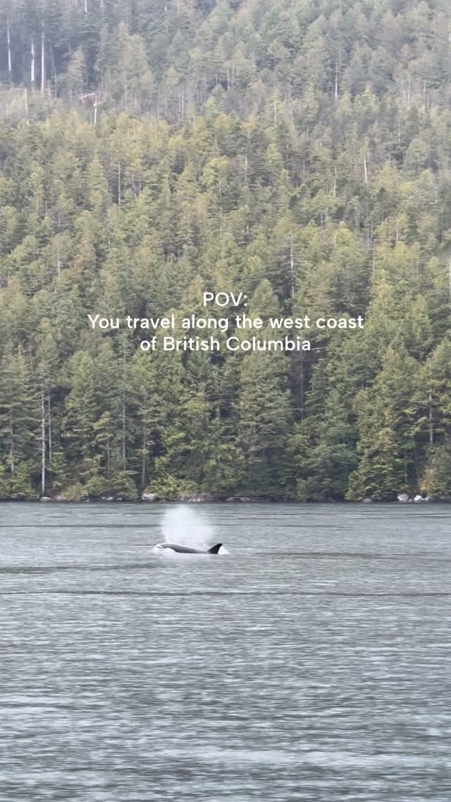 Instagram post by @tourismvancouverisland for Destination British Columbia. Caption reads: Every moment along The Infinite Coast is alive....