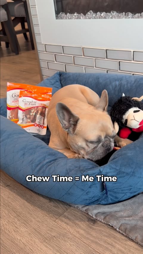 Instagram post by @somefrenchienamedapollo for Good 'n' Fun. Caption reads: [...] link in my bio to check them out! 🐶🦴....