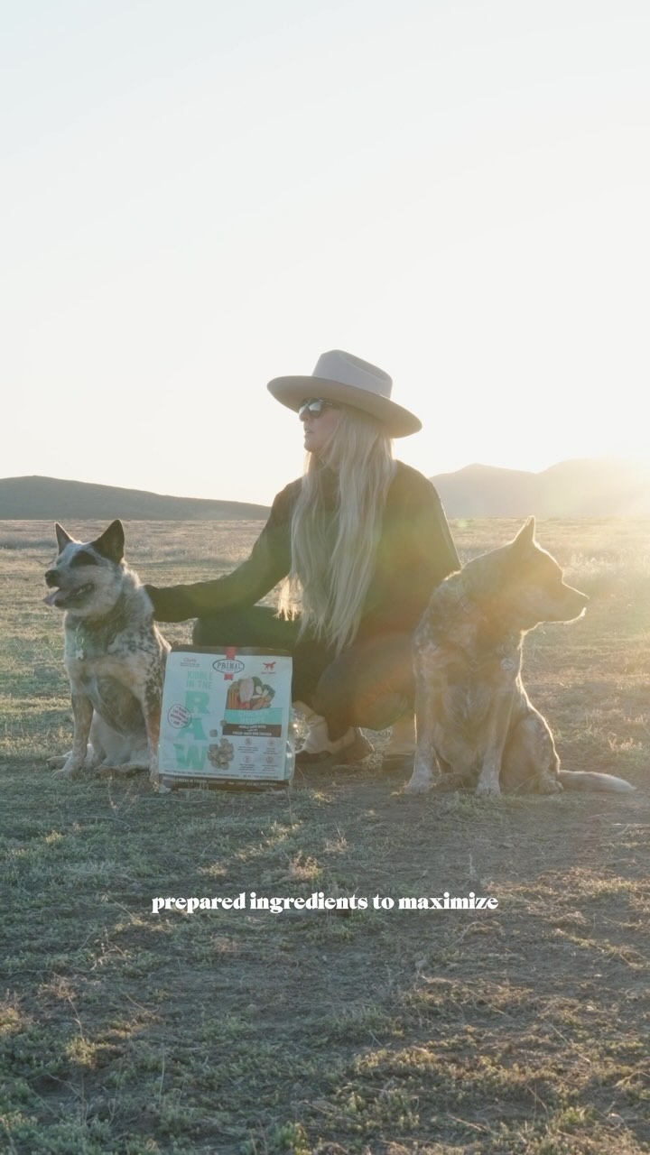 Instagram post by @apollointhewild for Primal Pet Foods. Caption reads: Apollo and Moon are obsessed with Kibble in the....