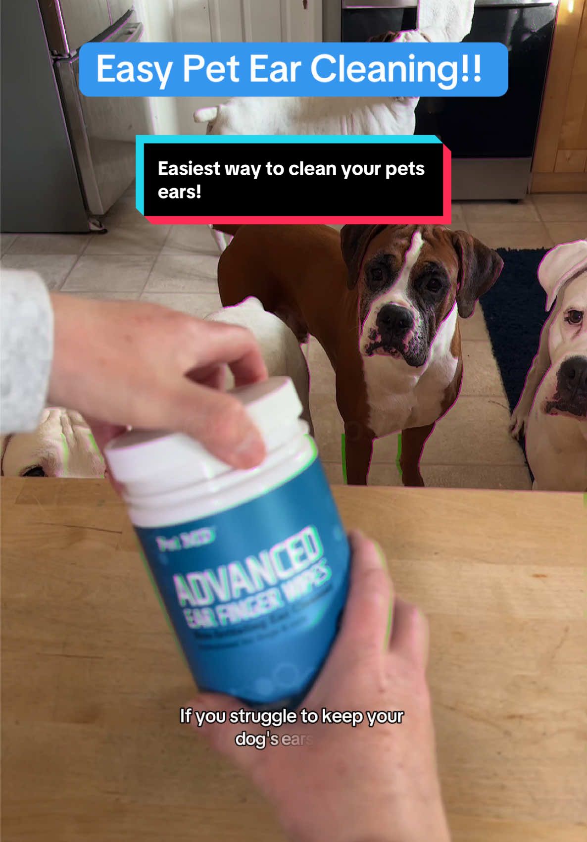 TikTok post by @nubbinlove for PetMD Store. Caption reads: [...] avoid a bad ear infection and these....