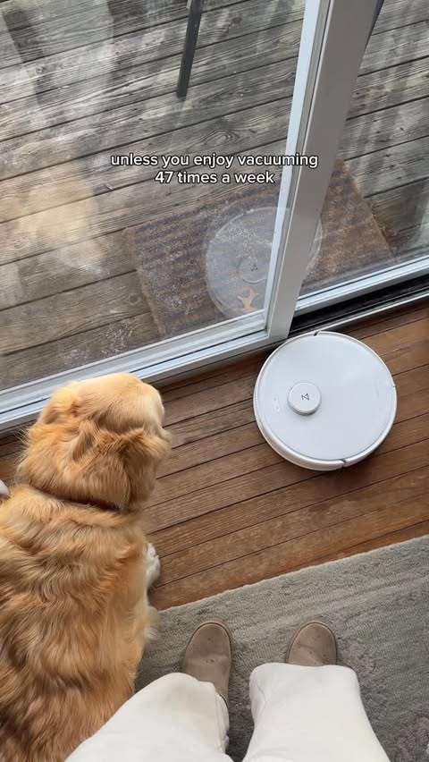 Instagram post by @goldenchilidog for Roborock. Caption reads: 🎄✨ With the holidays here… the Roborock Qrevo....