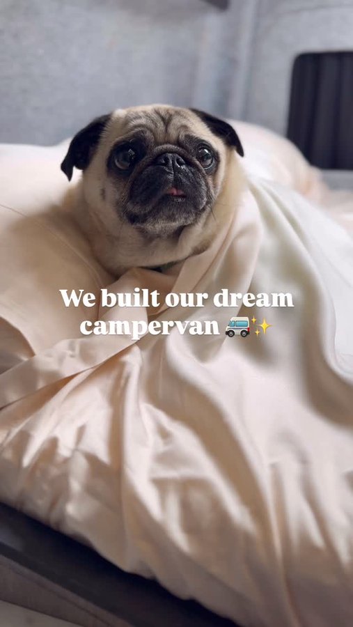 Instagram post by @little_lil_pug for slashop. Caption reads: Luxury van life: nap hard, roam harder 🚐 

We....