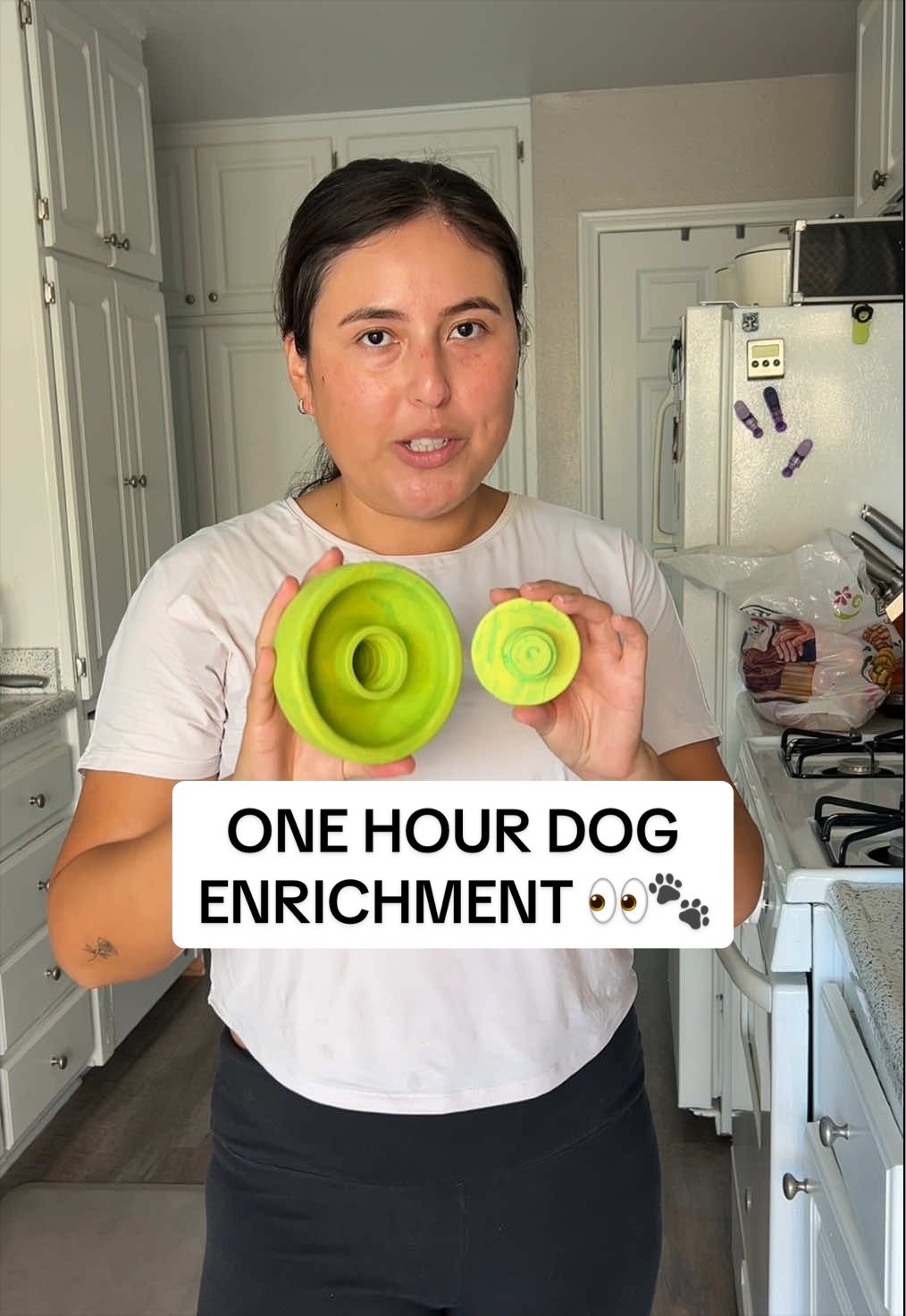 TikTok post by @calypso.the.pit for Benebone. Caption reads: I’ve got receipts 🧾 @Benebone I’m obsessed....