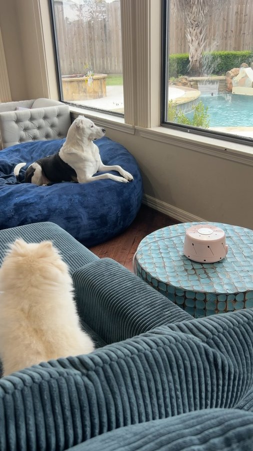 Instagram post by @ryanchloee for Yogasleep. Caption reads: #sponsored @yogasleepusa is the original white....