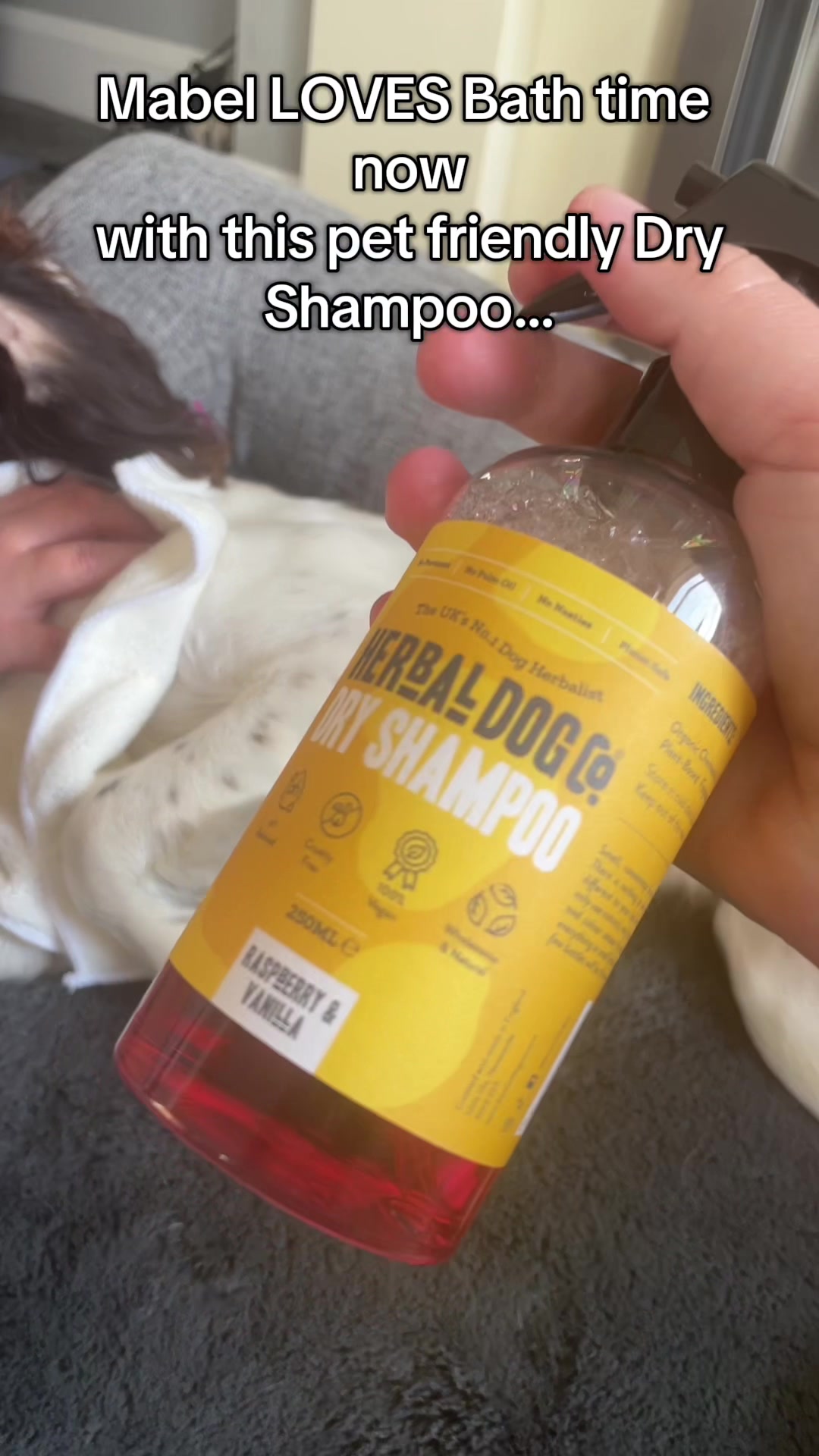 TikTok post by @theadventuresofmabel for Herbal Dog Co. Caption reads: [...] a dub dub- Mabel’s in the tub!🐶😂🥰 @Herbal....