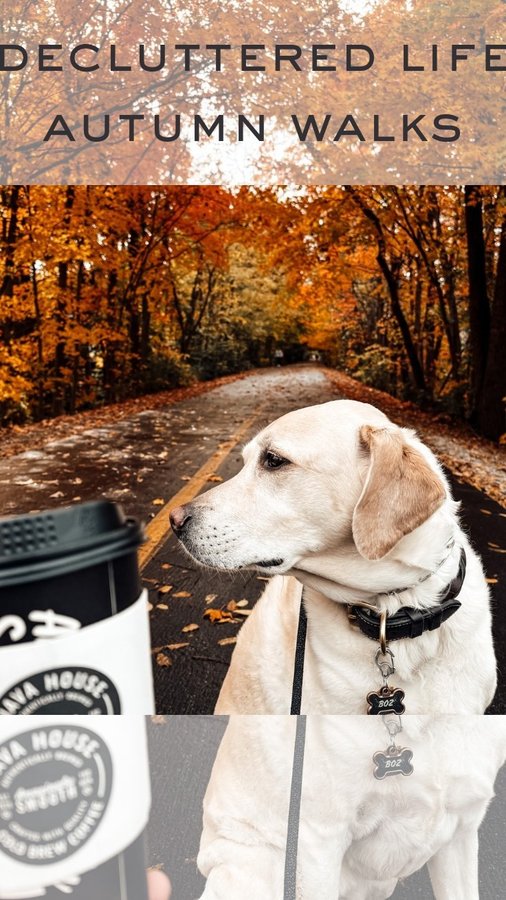 Instagram post by @abovethelawstyle for Java House. Caption reads: Autumn Coffee Dates + Walks🍁🤎☕️

Our @javahouse....