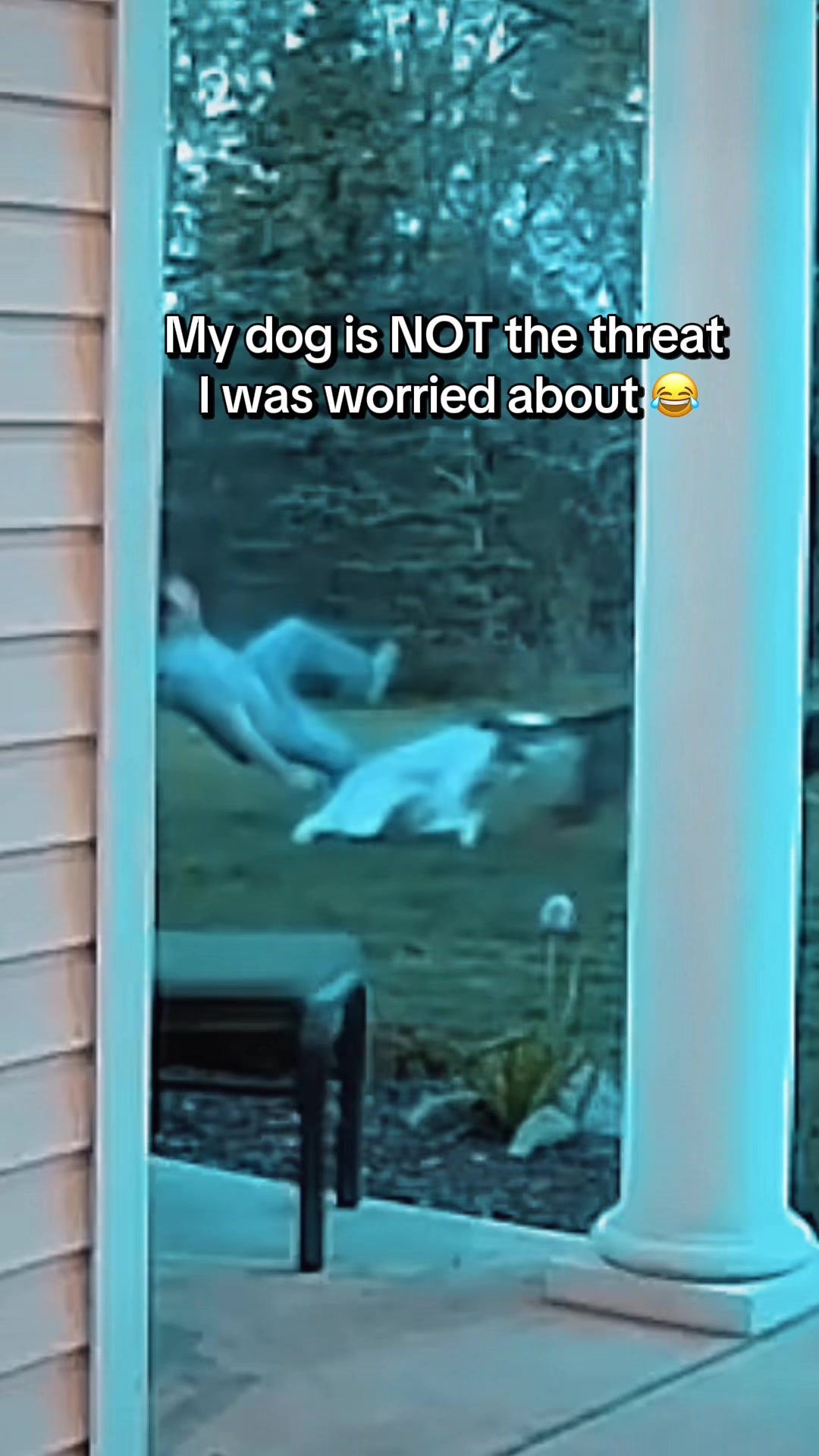 TikTok post by @nickmelchi for Wyze. Caption reads: Installed the Wyze Doorbell Cam to catch....