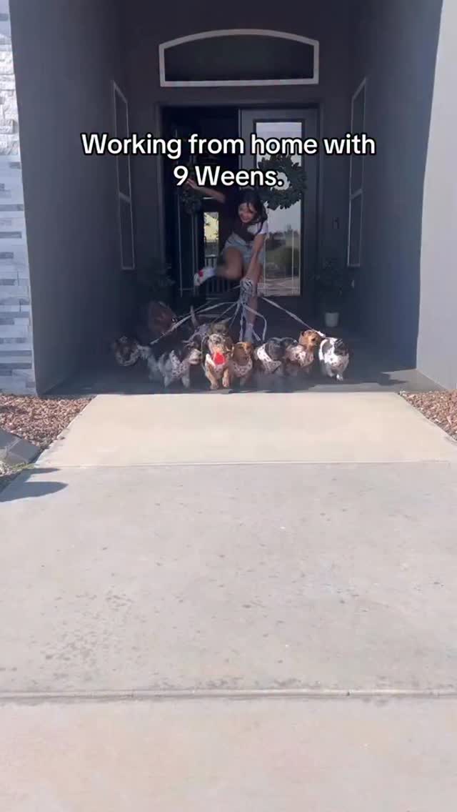 Instagram post by @yunabugs for PetSmart. Caption reads: Happy Weens = Happy Me :) thanks
@petsmart for....