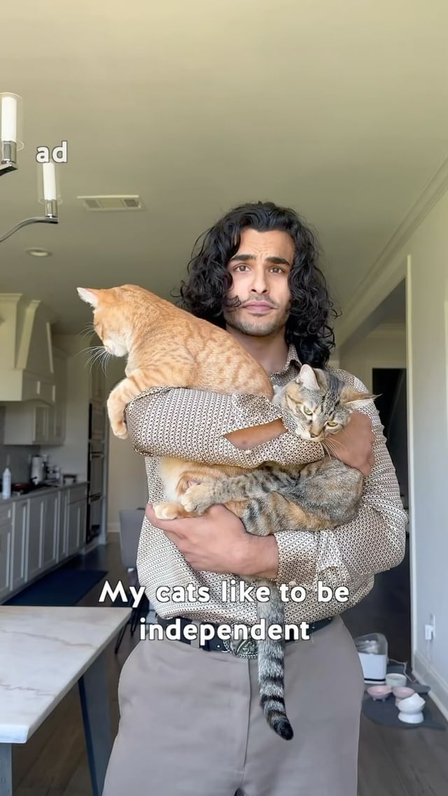Instagram post by @rayyanshaikhh for Petlibro. Caption reads: Trying to be the best cat dad I can be with some....