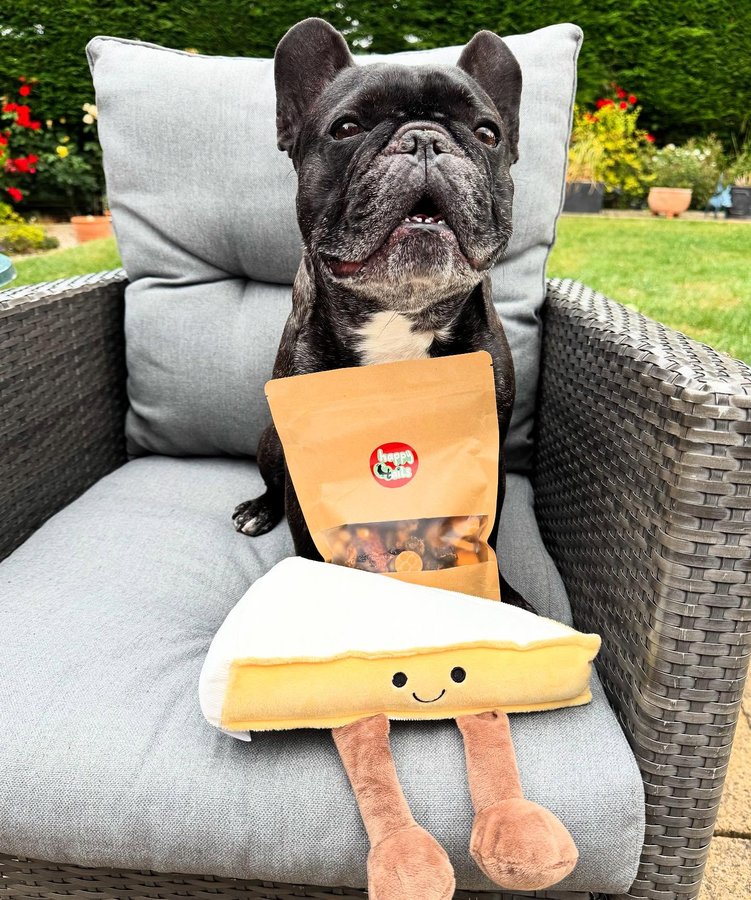 Instagram post by @louie_toes_frenchie for Happy Tails Hampers. Caption reads: [...] announce that I am now a rep for....