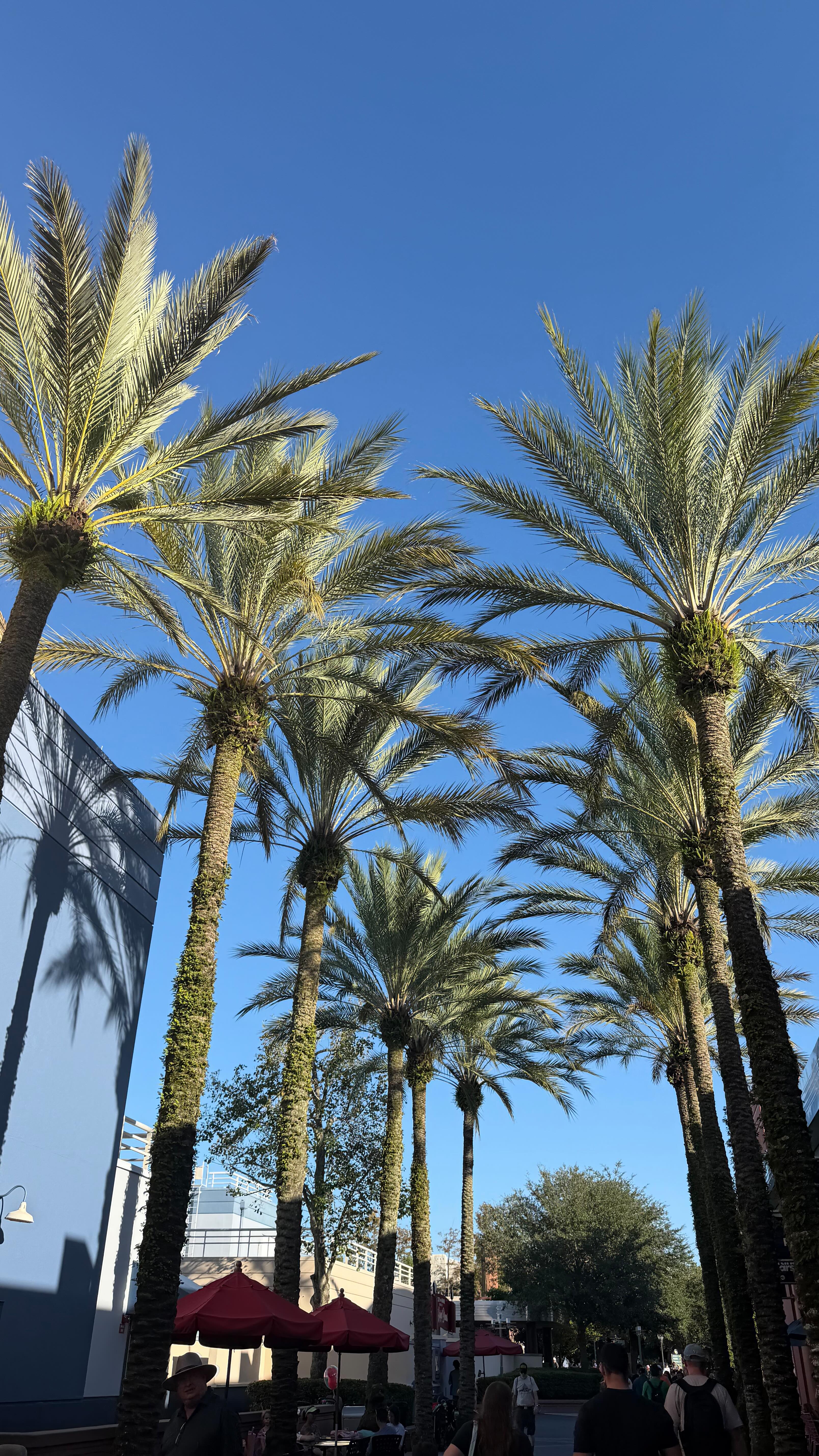 Instagram post by @brooke_lynnmilne for Secret Deodorant. Caption reads: #ad #SecretDeoPartner my prime day secret for the....