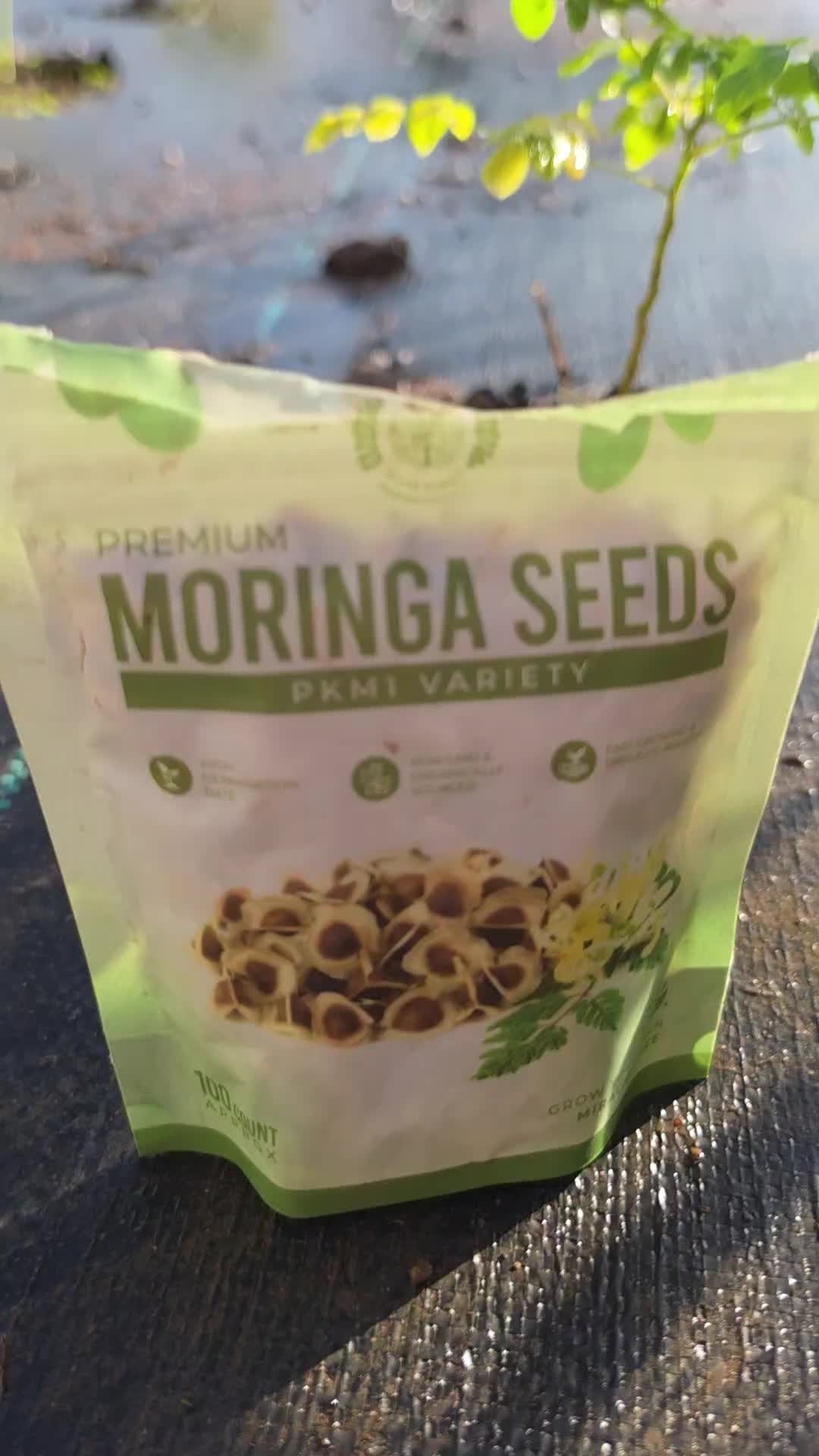 TikTok post by @simplymandyz for MoringawithBarry. Caption reads: [...] Best of both snack and planting.....