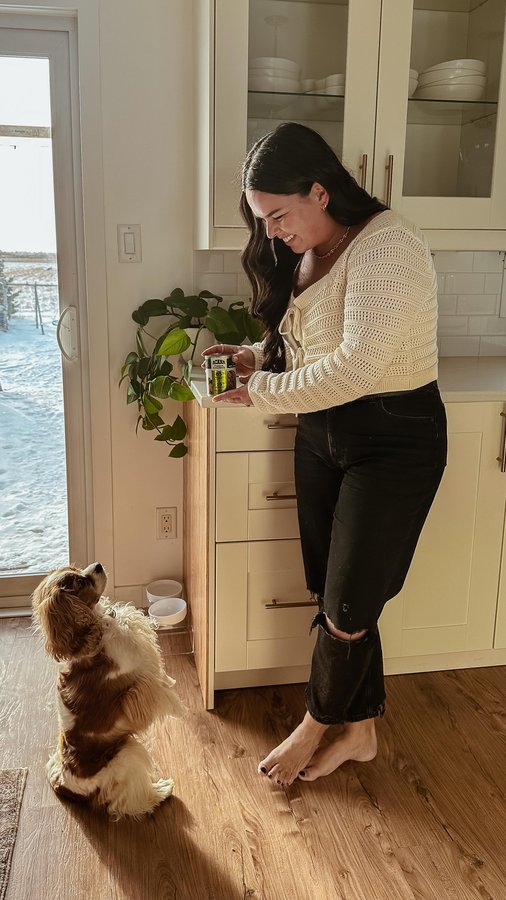 Instagram post by @ourbarnesyard for ACANA Petfoods. Caption reads: #AD Roxy is food obsessed and how can she not be....