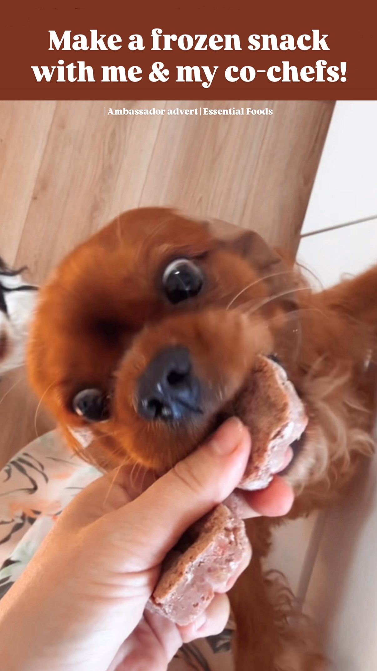 Instagram post by @cutecosmo_thecavalier for ESSENTIAL FOODS. Caption reads: ☀️Easy Summer Snack! 

It’s easy to make a cooling....