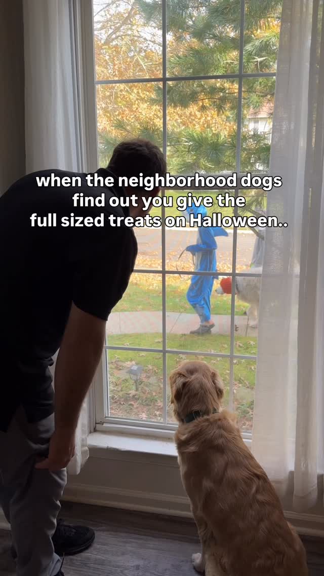 Instagram post by @threegoldiesonepyr for Open Farm Pet. Caption reads: Only giving out the best treats for our furry....