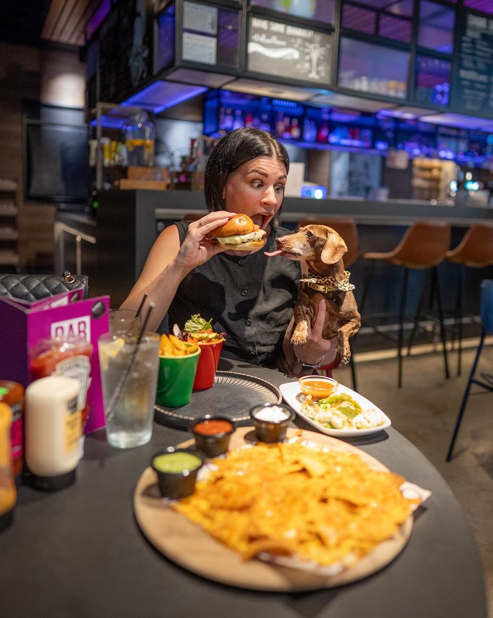 Instagram post by @pop_sausage for Marriott Hotels & Resorts. Caption reads: The most perfect dog friendly staycation at the....