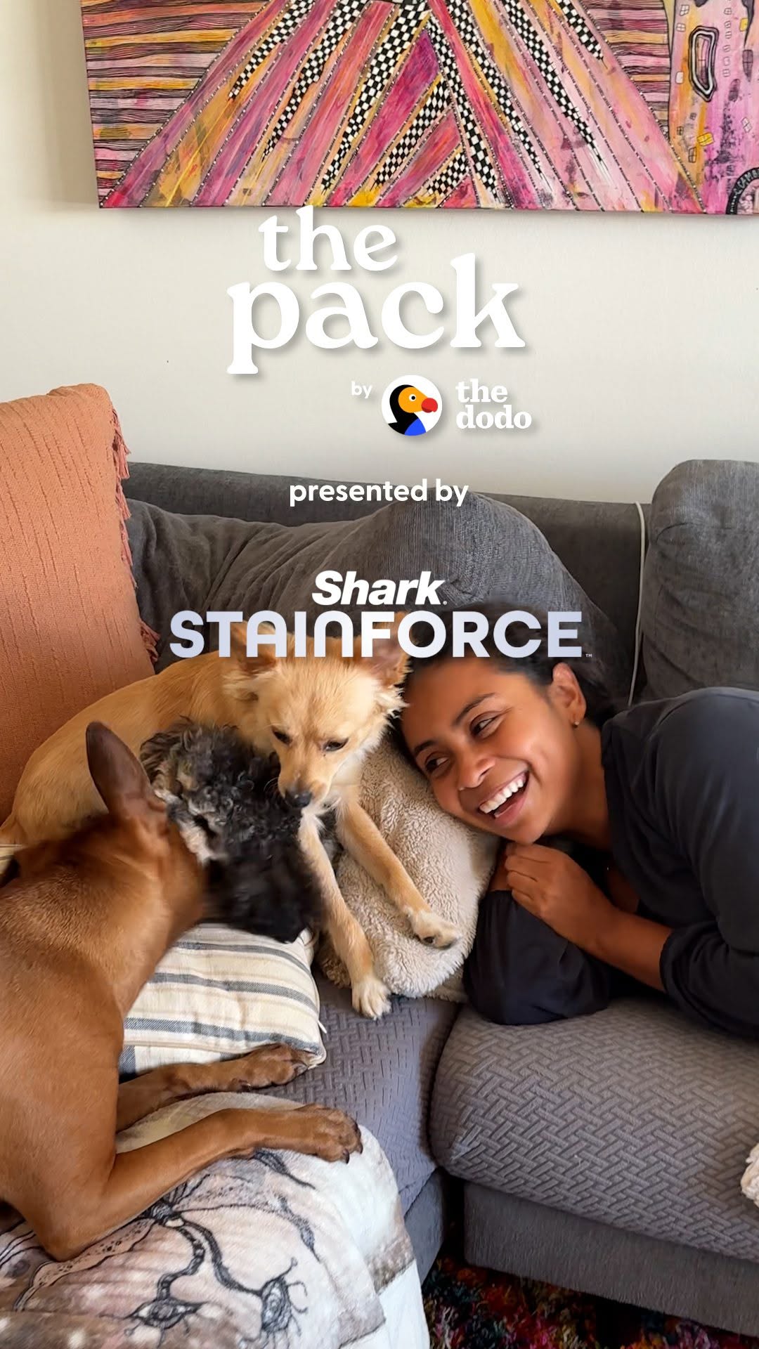 Instagram post by @thepackbythedodo for The Dodo. Caption reads: Pets make messes… and, okay, humans do too 👀....