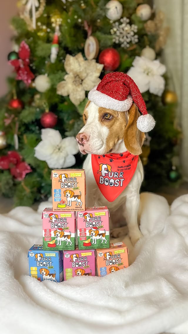 Instagram post by @iameddiethebeagle for Furr Boost. Caption reads: I’m a foodie PawPals I just love my meals and I....