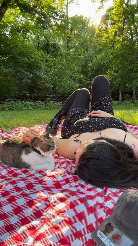 Instagram post by @mollymollzthetabby for I and love and you. Caption reads: [...] of Molly’s favorite treats from....