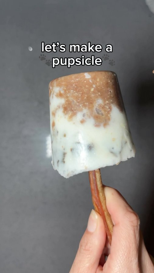 Instagram post by @gettinggziggywithit for ZIWI Pet Food. Caption reads: Beat the heat with this summer pupsicle 🐾 We....