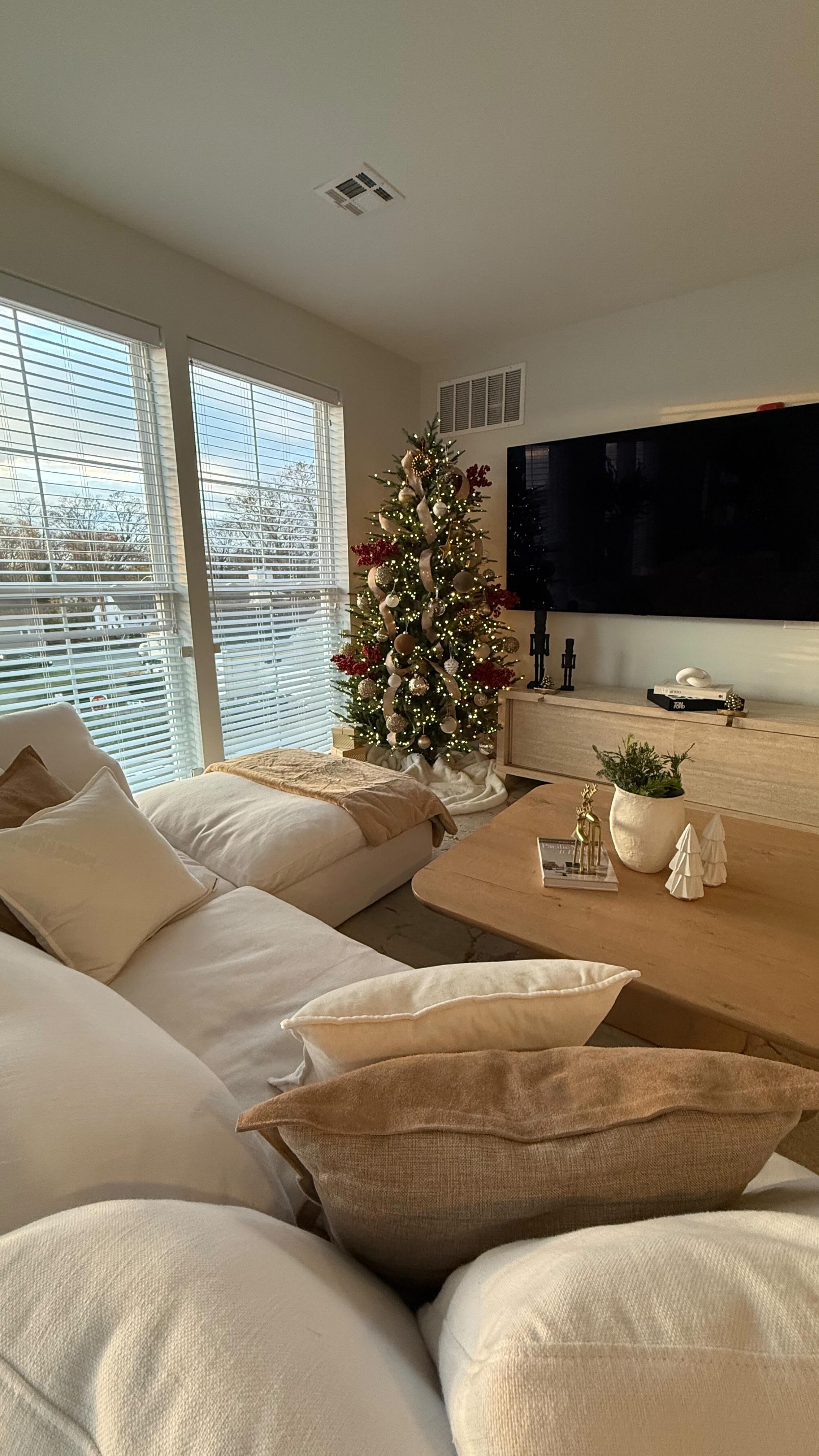 Instagram post by @jennifer.derass for Summer Water. Caption reads: We got the viral Christmas tree this year, and I....