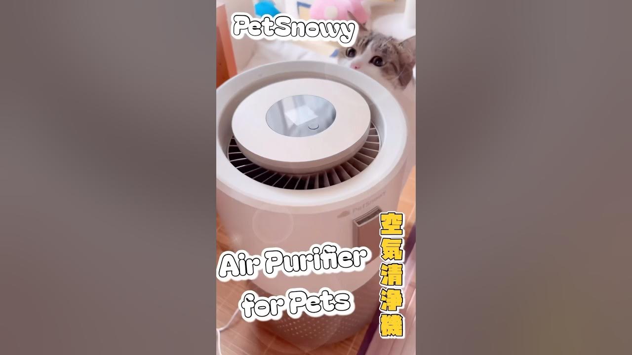 YouTube post by @nikoandkotaroandtoro5473 for PetSnowy. Caption reads: ペット用品の専門家 @PetSnowyJapan さんが開発した空気清浄機のご紹介にゃ😽🌬️....