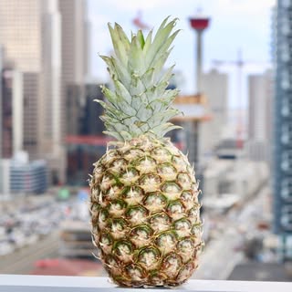 Social Pineapple