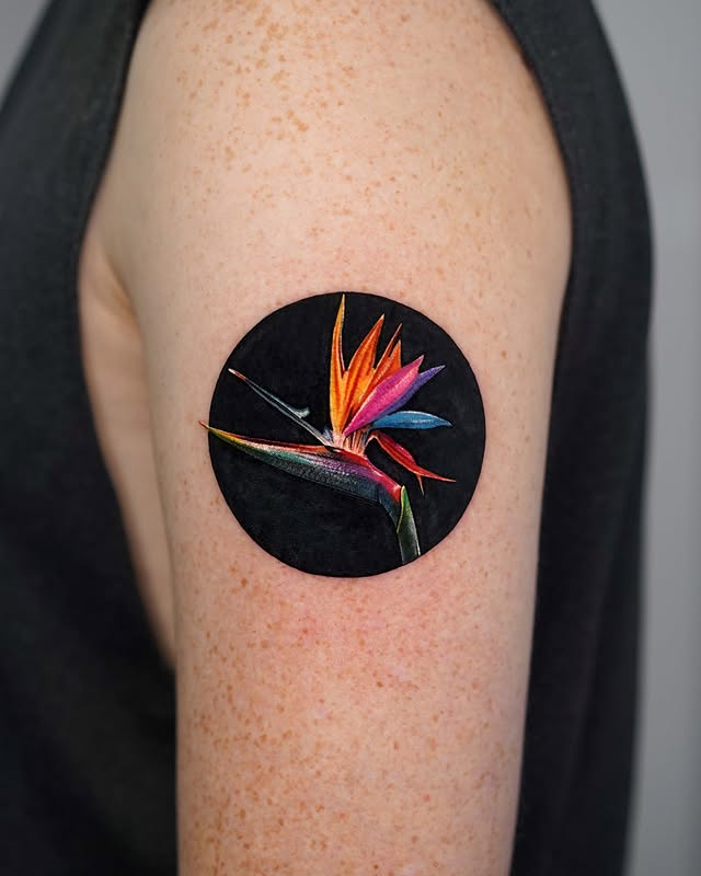 Instagram post by @myungdo___ for PEPAX. Caption reads: [...] available Sponsored @xtremetattooink....