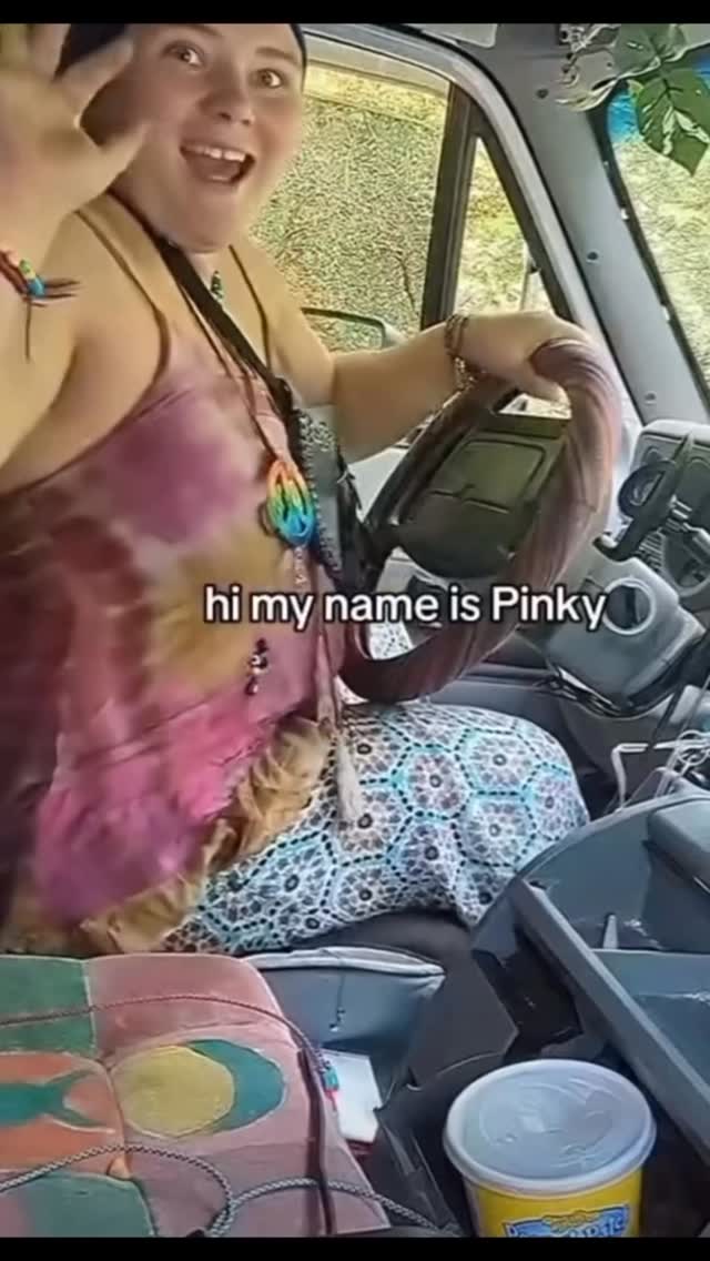 Instagram post by @thehairyhare for Great Wolf Lodge. Caption reads: @greatwolflodge please sponsor me‼️🤠.