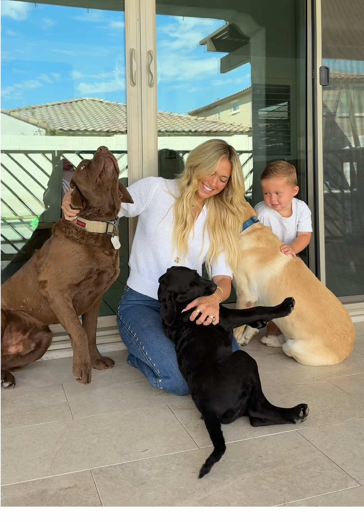 TikTok post by @torihalford for Primal Pet Foods. Caption reads: All 3 dogs have been obsessed with meal time....