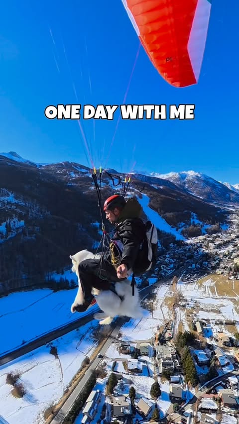 Instagram post by @ouka.sam for ORIJEN Petfoods. Caption reads: AD | I live for long days and quiet moments.
For....